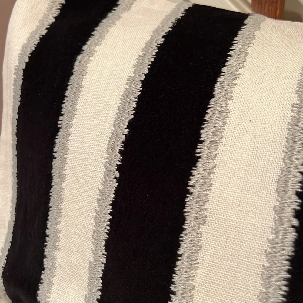 Williams Sonoma Home 22”x22” Pillow Cover